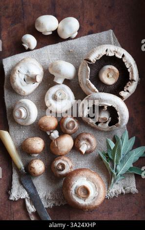 Verschiedene frische Pilze auf Leinentuch Stockfoto
