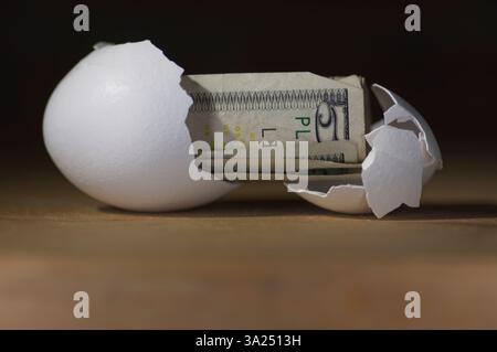 5-Dollar-Schein, der aus einer Eierschale kommt Stockfoto