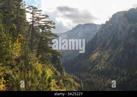 Aus der Vogelperspektive auf eine tiefe Schlucht im Durmitor Nationalpark, Montenegro, die unberührte Wildnis Montenegros zeigt. Susicko jezero. Stockfoto