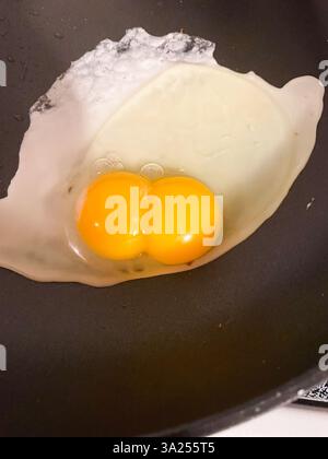 Doppel-Eigelb-Ei in der Pfanne aufgebrochen. Hochwertige Fotos Stockfoto