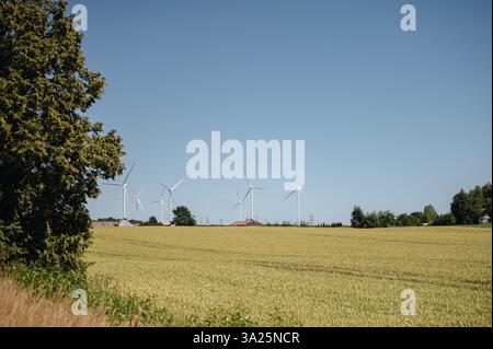 Windparks und Windturbinen für eine Zukunft der grünen Energie. Hochwertige Fotos Stockfoto