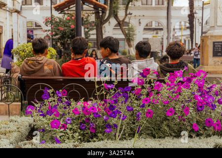 Junge Freunde, die zusammen auf Einer öffentlichen Bank in Sucre Bolivien saßen, nahmen an Gesprächen Teil, die lateinamerikanischen Jugendstil und Urban Social repräsentierten Stockfoto