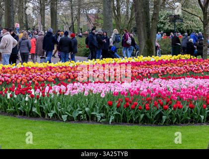 Keukenhof, Lisse Niederlande - 18. April 2023: Besucher des Keukenhof-Gartens in Lisse, Niederlande. Stockfoto