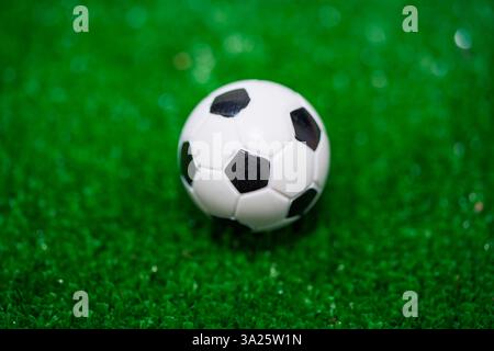 Nahaufnahme des Fußballballs auf dem Rasen. Stockfoto