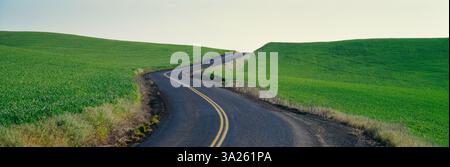 Eine ruhige Landstraße durch ein Weizenfeld im Spokane County, Washington, USA. Stockfoto