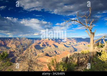 Ein atemberaubender Blick auf den Grand Canyon bei Sonnenuntergang in Arizona in Amerika mit wunderschönen Farben - Reisebild Stockfoto