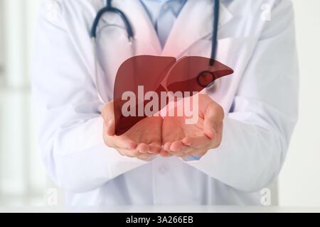 Doktor hält Illustration der Leber drinnen, Nahaufnahme Stockfoto