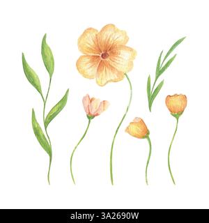 Ein Set aus gelben Blumen und Grün, zarten Aquarellillustrationen für Hochzeitseinladungen, Grußkarten und Druckmotiven. Rekrutierung im Frühjahr und Sommer Stockfoto