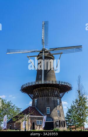 Molen (Windmühle) de Valk in Leiden, Niederlande, an einem hellen, sonnigen Tag mit blauem Himmel. Stockfoto