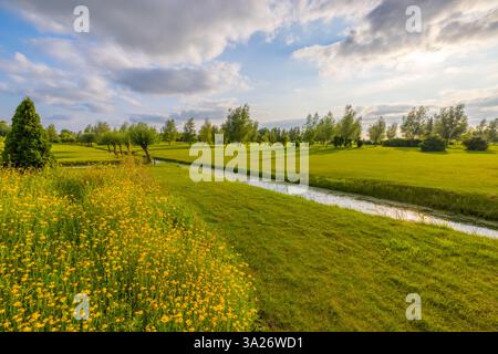 Ein niederländischer Golfplatz mit einem grünen und schönen Farben des grünen Grases und der Bäume Stockfoto