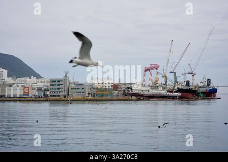 Industrielle Werftszene mit Möwen und Kranichen an einem bewölkten Tag am Ufer. Busan, Korea Stockfoto