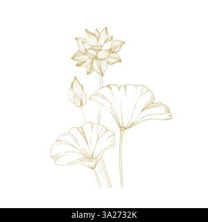 Lotusgoldblumen und -Blätter. Vektorillustration handgezeichnet und isoliert auf weiß Stock Vektor