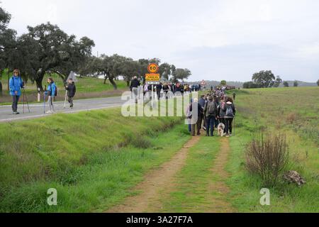 Pallares, Spanien, 1. Dezember 2024, Eine Gruppe von Wanderern durchquert die wunderschönen Pfade von Pallares und genießt die Natur in Sierra Morena, Extremadura auf einer kühlen da Stockfoto