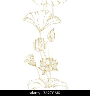 Lotusgoldblumen, Samenkapsel und nahtlose Bänder. Vektorillustration handgezeichnet Stock Vektor