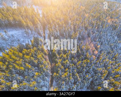 Eine winterliche Landschaft zeigt eine kurvige Straße, die durch einen dichten Wald führt. Schnee bedeckt den Boden, und Sonnenlicht filtert durch die Bäume und schafft eine ruhige und ruhige Atmosphäre. Stockfoto