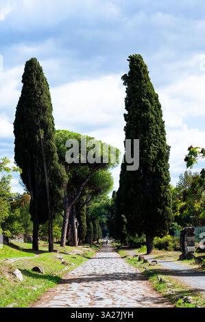 Vertikale Aufnahme der Via Appia Antica, ca. 10 km südlich von Rom, einschließlich Kiefern und Kopfsteinpflaster Stockfoto