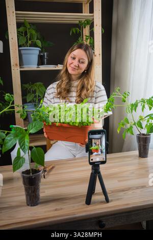 Frau, die einen Topf mit Basilikumkeimlingen hält, während sie einen Video-Blog über die Gartenarbeit mit einem Smartphone auf einem Stativ auf einem Holztisch aufnimmt Stockfoto