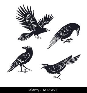 Handgezeichnete Inky Sketch Stil Raben oder Krähen isoliert auf weißem Hintergrund Stock Vektor