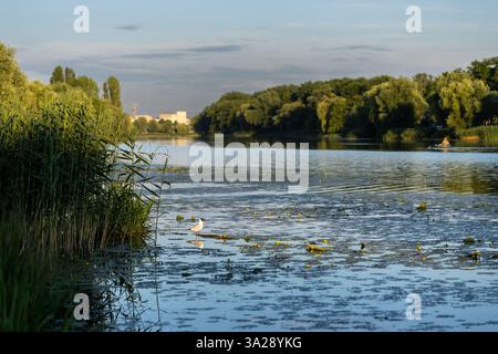 Eine friedliche Flusslandschaft mit üppigem Grün, ruhigem Wasser und einem kleinen Vogel, der auf schwimmenden Blättern steht. Ein Boot wird in der Entfernung gesehen und reflektiert das Stockfoto