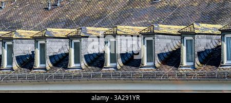 Historische Dachlandschaft mit kunstvoll gestalteten Dachfenstern, die mit aufwändig angeordneten Schieferziegeln bedeckt sind. Die dunkle Patina und das Mooswachstum auf der Ro Stockfoto