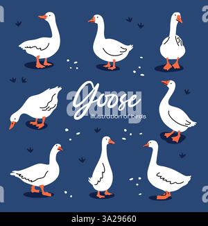 Set süßer weißer Cartoon-Gänse. Vektor-Gänseillustration Stock Vektor