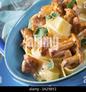 Pappardelle mit Käsesauce und frischen Pfifferlingen Stockfoto