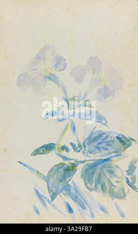 „Pervenches“ ist ein Blumenstillleben mit einem Haufen von Vogelperlblumen. Die zarten blauen Blüten werden mit weichen, präzisen Pinselarbeiten gerendert, die ihre natürliche Anmut einfangen. Stockfoto