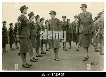 Originalfoto aus dem 2. Weltkrieg von einer Inspektion von Frauen im ATS (Auxiliary Territory Service) & Women's Transport Service, auf der Rückseite ist Corporal Hawking geschrieben. Datiert aus dem Jahr 1940 Stockfoto
