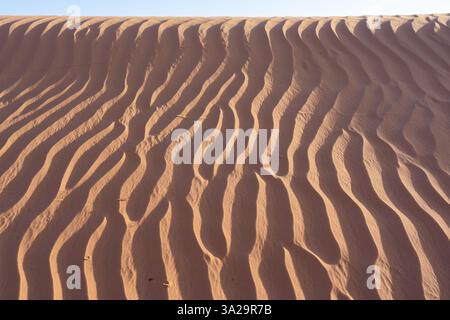 Sand Wellenstruktur der Wüstensanddünen in der Abenddämmerung. Stockfoto