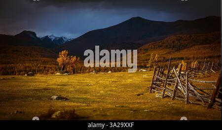 Der rustikale Zaun erstreckt sich über goldene Herbstwiesen mit Hügeln und Bergen im Hintergrund. Lebhaftes Laub verstärkt den ruhigen ländlichen Charme der ruhigen und malerischen Landschaft. Stockfoto
