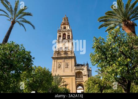 Blick auf die Moschee - Glockenturm der Kathedrale, Cordoba City, Andalusien, Spanien. Stockfoto
