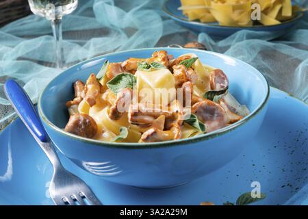 Pappardelle mit Käsesauce und frischen Pfifferlingen Stockfoto
