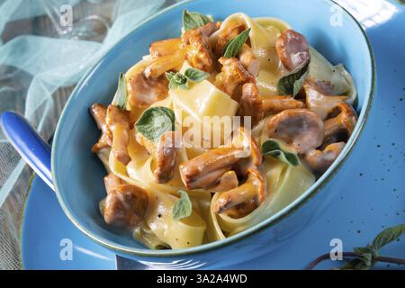 Pappardelle mit Käsesauce und frischen Pfifferlingen Stockfoto