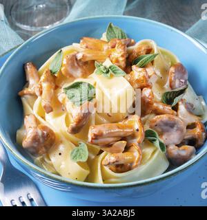 Pappardelle mit Käsesauce und frischen Pfifferlingen Stockfoto