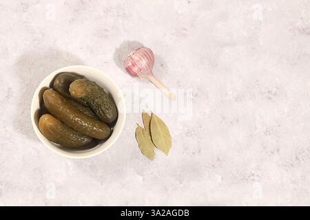 Gesalzene oder eingelegte Gurken, Knoblauch und Gewürze auf einem Leuchttisch. Fermentierte Lebensmittel Lebensmittel Hintergrund, Banner für Werbung, gesunde Ernährung Konzept, natürliche p Stockfoto