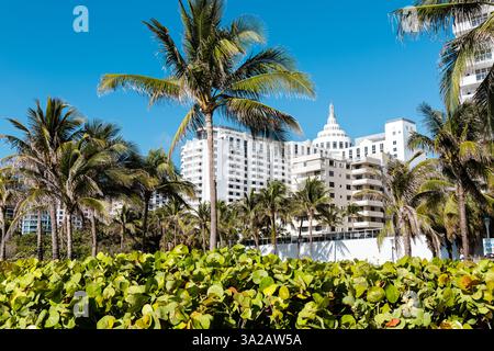 Loews Miami Beach Hotel in Miami Beach, Florida, USA Stockfoto
