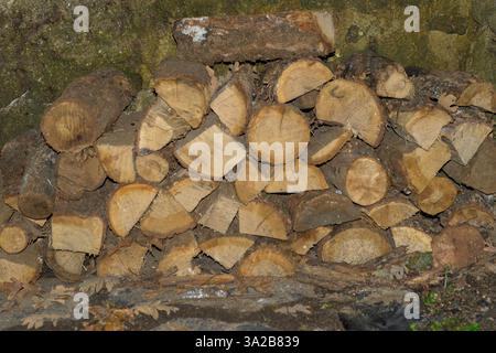 Trocken gestapeltes Brennholz für den Einsatz in einer Feuerstelle für Wärme im Winter Stockfoto