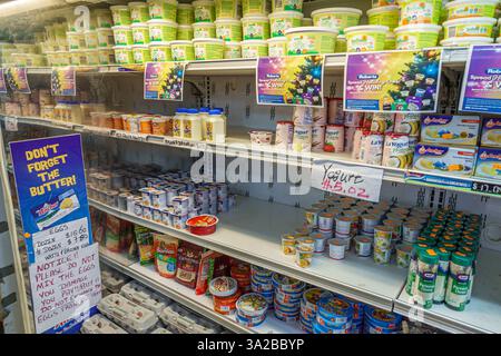 St. John's Antigua und Barbuda, High Street, Little Canton Supermarkt, Supermarkt, Lebensmittelgeschäft, Inneneinrichtung, Schaufenstergang, gekühlter Milchbereich, Joghurt Stockfoto