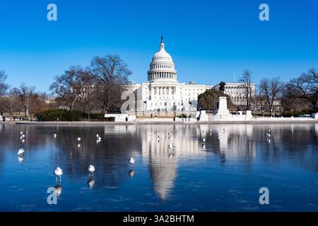 National Harbor, Usa. Februar 2025. Das US-Kapitol spiegelt sich im Capitol Reflecting Pool in Washington wider. Quelle: SOPA Images Limited/Alamy Live News Stockfoto