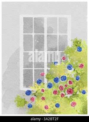 Aquarellabbildung eines Fensters mit Kletterrosen. Ein einfacher, weißer Fensterrahmen mit einer strukturierten grauen Wand und leuchtenden blauen und rosa Rosen blühen Stock Vektor