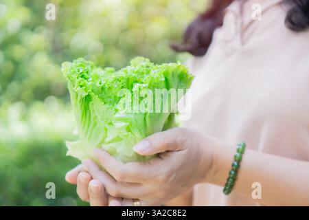 Eine Frau hält einen grünen Salat in den Händen über dem Hintergrund der Natur. Bio-Esskonzept. Selektiver Fokus. Stockfoto