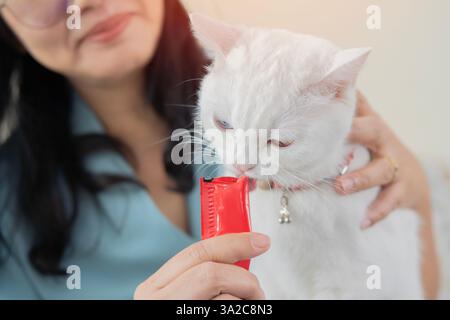 Glückliche asiatische Frau, die weiße Katze mit cremigem Leckerli füttert, gibt der niedlichen Haustier-Katze mit kurzen Haaren Flüssigkeit Leckerli im Wohnzimmer. Selektiver Fokus. Stockfoto