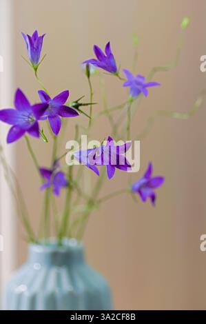 Eine Nahaufnahme leuchtender violetter Glockenblumen in einer strukturierten blauen Keramikvase. Vertikaler Freischnitt. Selektiver Fokus. Stockfoto