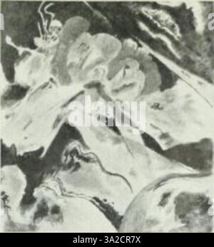 Diese Komposition von Kandinsky zeigt abstrakte Formen und eine lebendige Farbpalette, die seinen Glauben an die emotionale und spirituelle Bedeutung von Farbe und Abstraktion widerspiegelt. Stockfoto