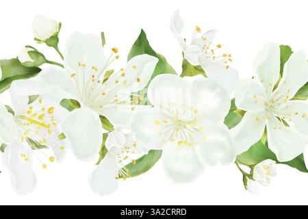 Frühlingsblumen und Knospen, helle Blütenblätter und gelbe Staubblätter. Nahtloser Rand. Digitale Illustration mit Aquarell. Blühende Äste von Apfel- und Kirschbaum Stockfoto