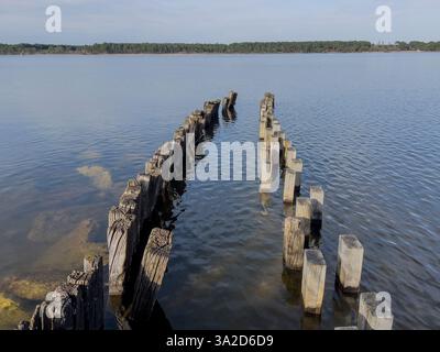 Alte Holzpfähle ragen aus dem ruhigen Wasser des Lac Sanguinet in Gironde, Frankreich, hervor und spiegeln den klaren blauen Himmel und die umliegende Natur wider Stockfoto