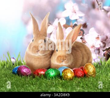 Osterfeier. Süße flauschige Kaninchen und Schokoladeneier in glänzenden Verpackungen auf grünem Gras unter dem Himmel Stockfoto