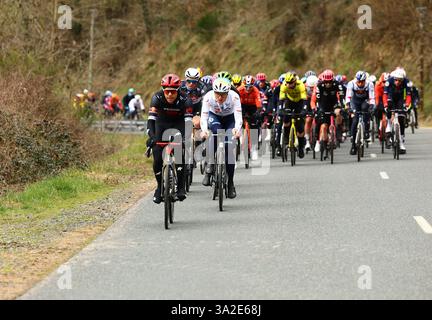 La Cote Saint Andre, Frankreich. März 2025. Das Paket von Fahrern, das während der fünften Etappe des 83. Rennens Paris-Nizza, 196, 5 km von Saint-Just-en-Chevalet nach La Cote-Saint-Andre, Frankreich, am Donnerstag, den 13. März 2025, in Aktion genommen wurde. BELGA FOTO DAVID PINTENS Credit: Belga News Agency/Alamy Live News Stockfoto