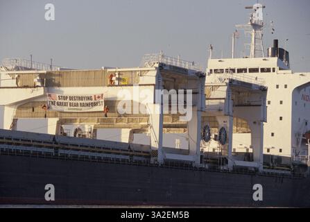 Oktober 1998; Vancouver, BC, KANADA; Greenpeace, eine internationale Umweltorganisation, protestiert gegen die Zerstörung des Regenwalds des Großen Bären. Stockfoto