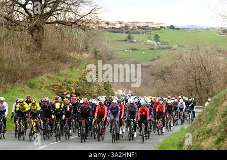 La Cote Saint Andre, Frankreich. März 2025. Das Paket von Fahrern, das während der fünften Etappe des 83. Rennens Paris-Nizza, 196, 5 km von Saint-Just-en-Chevalet nach La Cote-Saint-Andre, Frankreich, am Donnerstag, den 13. März 2025, in Aktion genommen wurde. BELGA FOTO DAVID PINTENS Credit: Belga News Agency/Alamy Live News Stockfoto